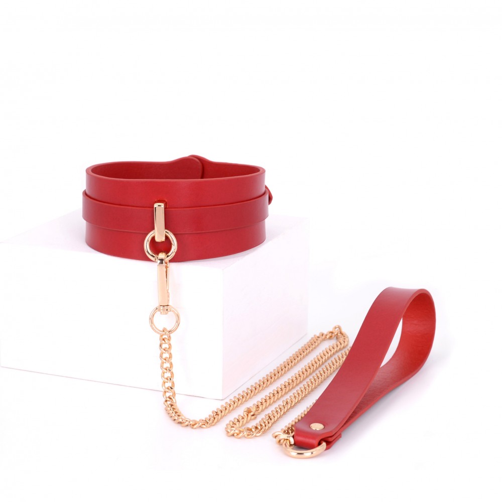 Leather Collar Choke & Leash with Gift box (2007-2)