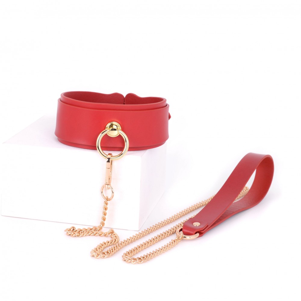 Leather Collar Choke & Leash with  Gift box (2007-4)