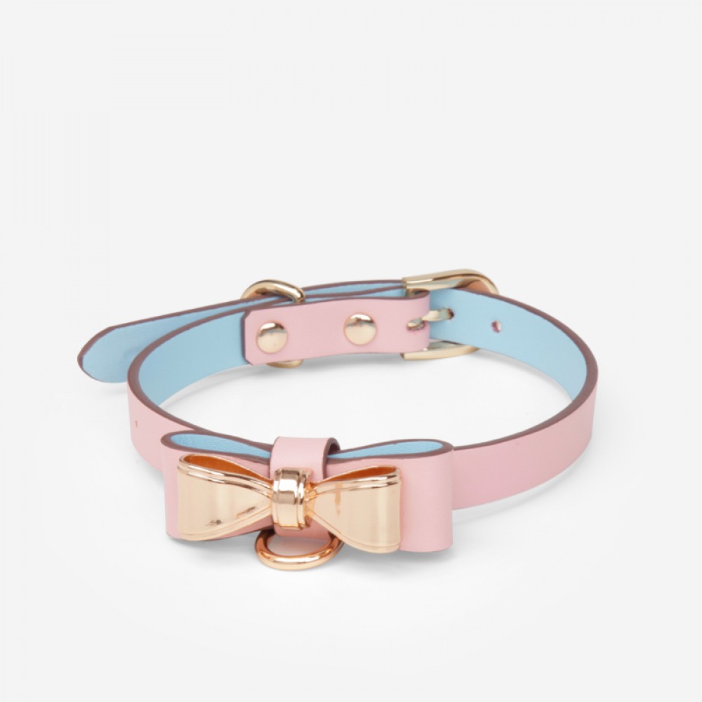 Gold Butterfly Leather Collar with Leash with gift box(2107-2)