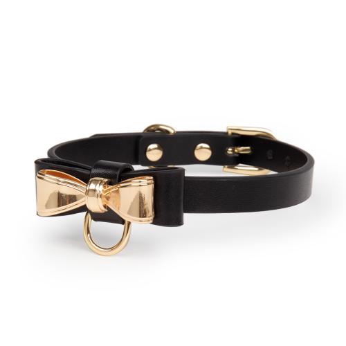 Gold Butterfly Leather Collar with Leash with gift box(2107-2)