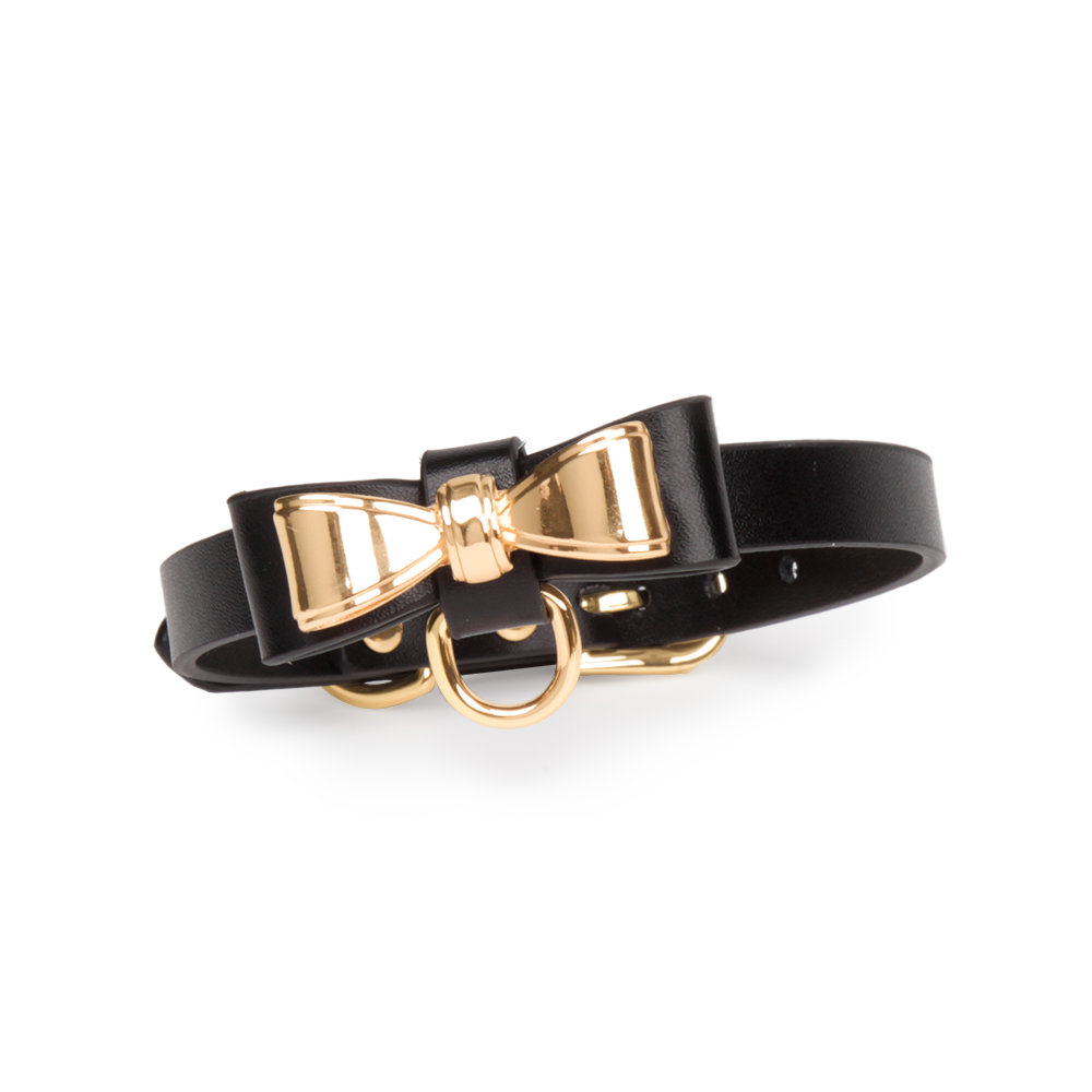 Gold Butterfly Leather Collar with Leash with gift box(2107-2)