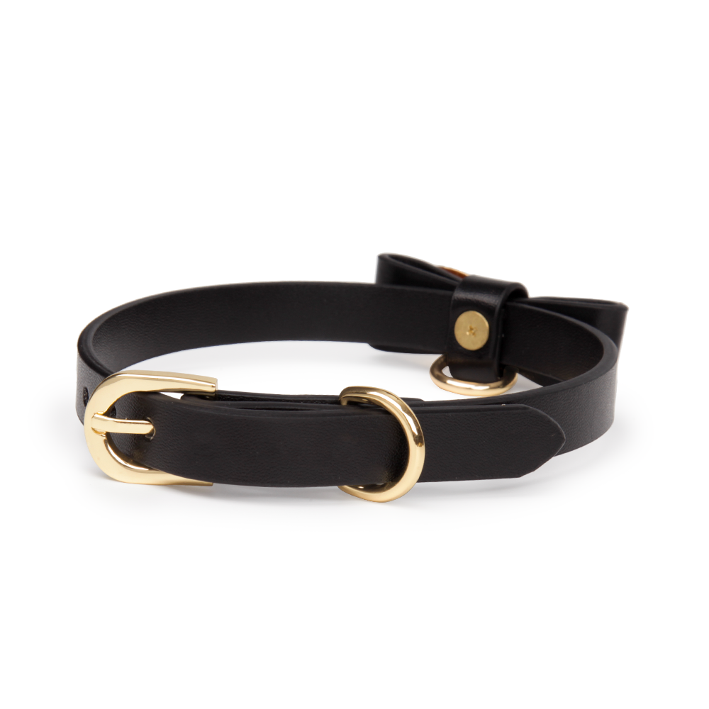 Gold Butterfly Leather Collar with Leash with gift box(2107-2)