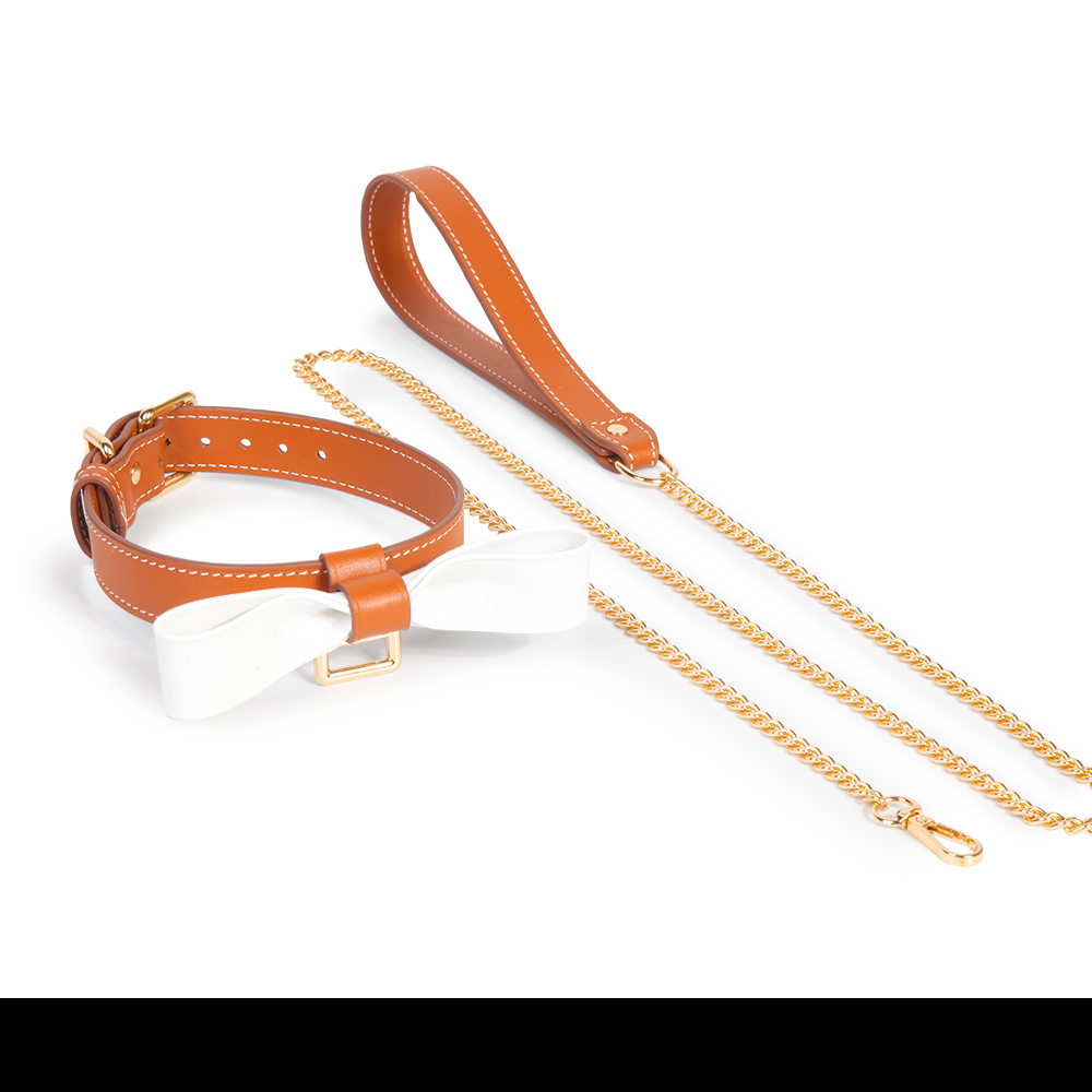 Luxury Leather Collar Choke & Leash with Gift Box (2302-1)