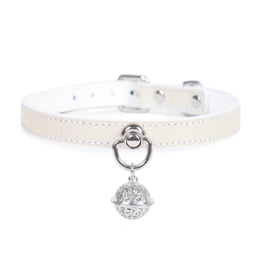  Leather Collar with Leash with gift box (2308-1)