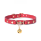 PU Leather Collar with Chain with gift box(2311-5)