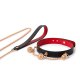 Leather Collar Choke&Leash with Gift box ( 2404-1)