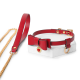 Leather Collar Choke & Leash with Gift Box ( 2406-2)