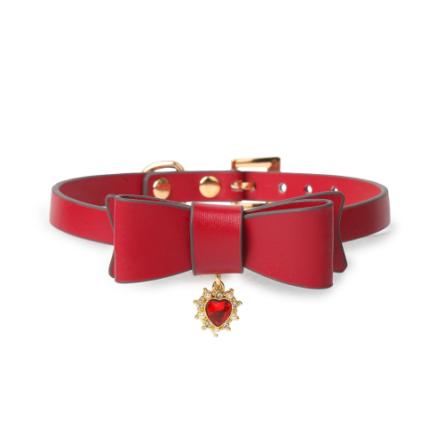 Leather Collar Choke & Leash with Gift Box ( 2406-2)