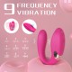 Remote control couples vibrator ( S302-2)