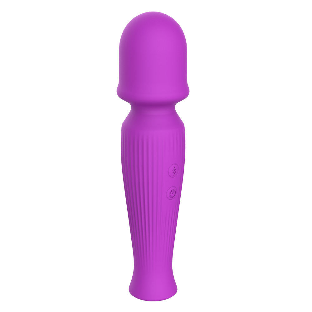 Body Massage Wand Vibrator(WS-NV055)