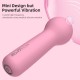 Mini Silicone Bullet Vibrator (LT-RT9102)