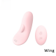 Wireless Remote Wearable Panty Vibrator